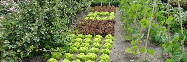 PurdueHomeHort Profile Banner