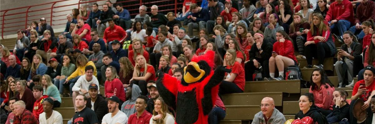 CUA_SAAC's profile banner image