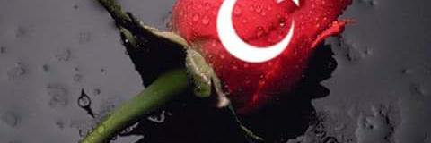 taneryis1's profile banner image