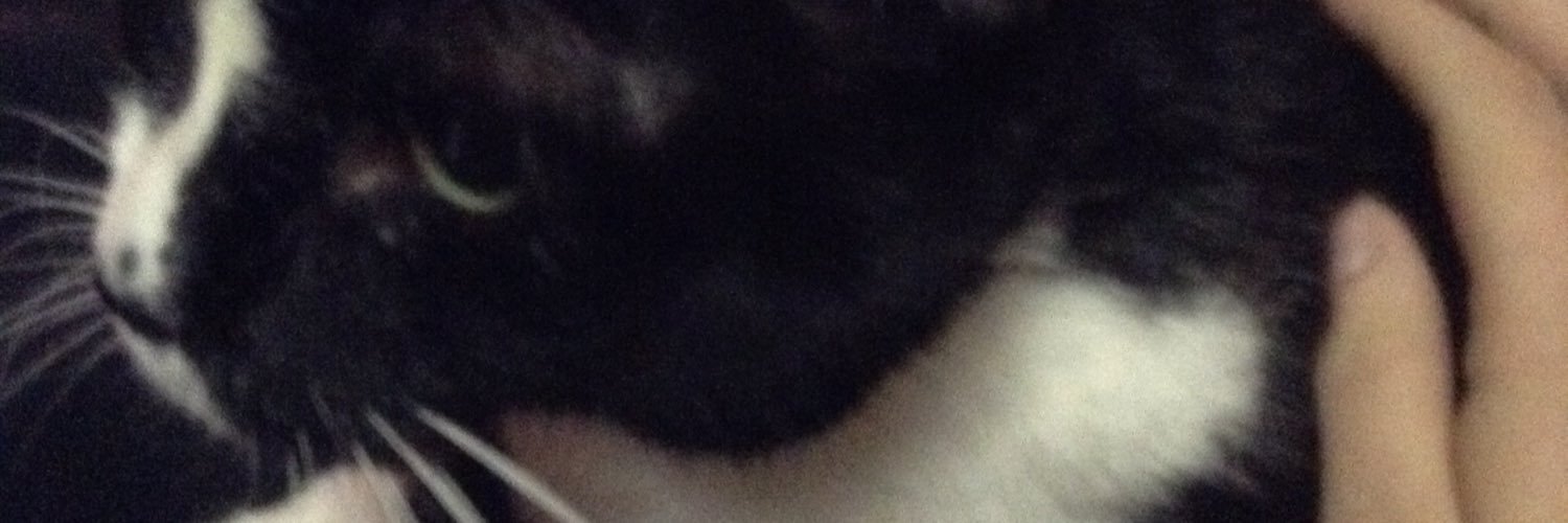 falkynpunch's profile banner image