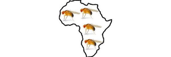 popgen_oumie Profile Banner