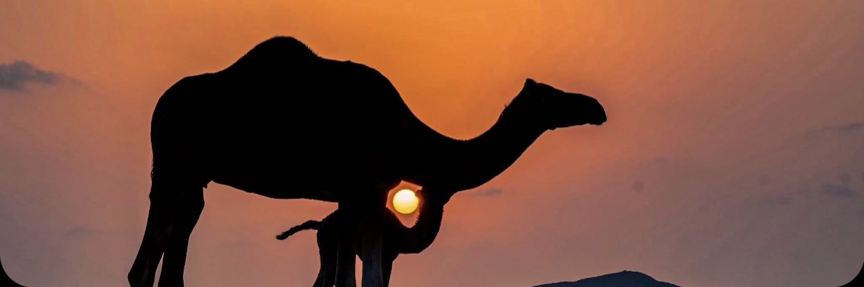 ًفايز بدون همزة banner