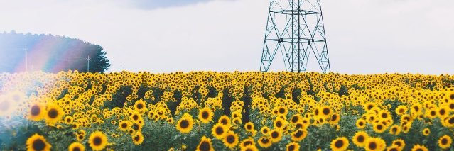 _elliebells's profile banner image