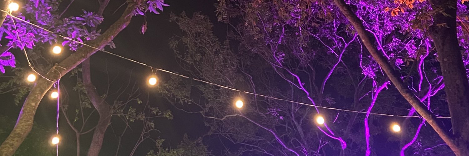bmarinho0's profile banner image
