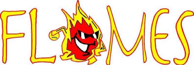 Jersey Flames banner