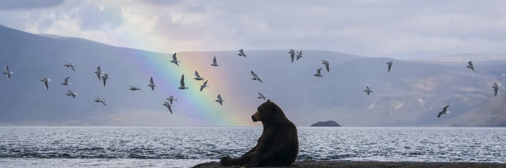 badx47_'s profile banner image