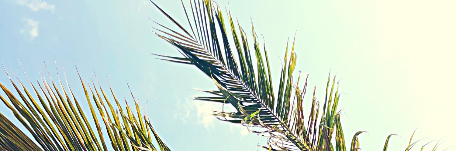 ajhamilton90's profile banner image