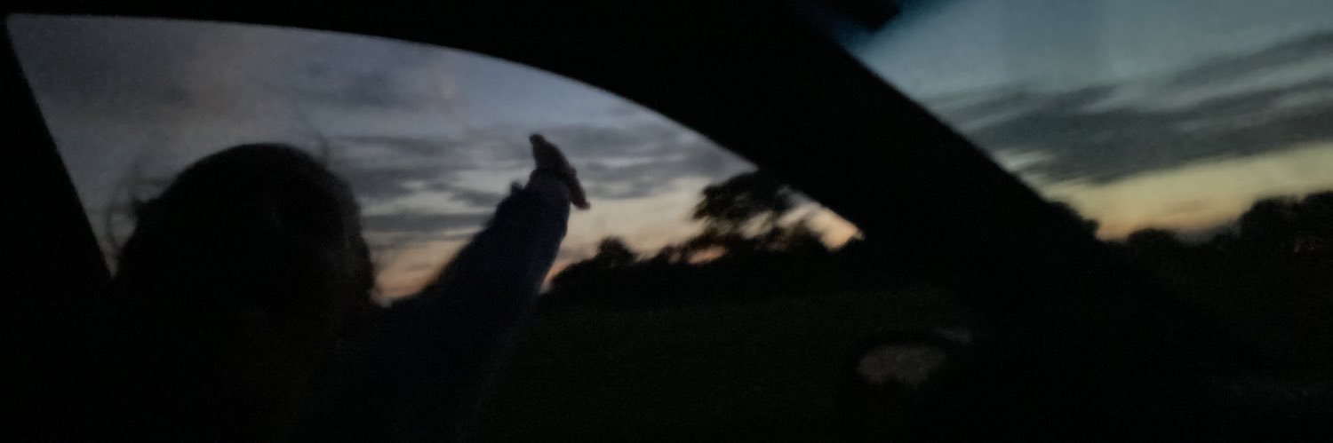 SydMartens's profile banner image