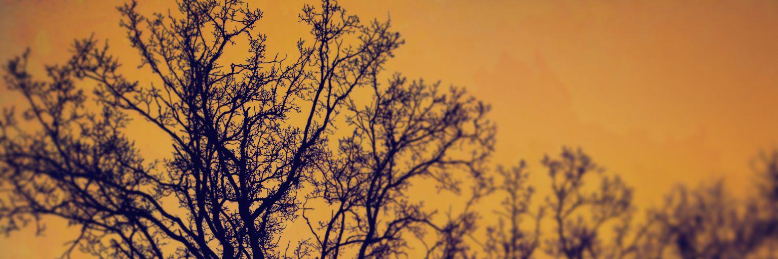 KoolBool's profile banner image