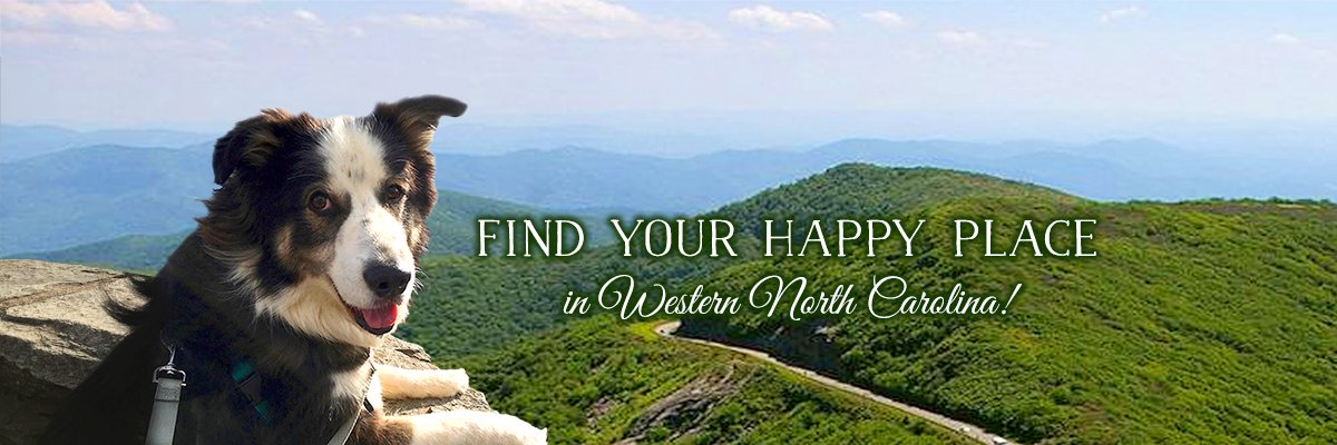 realty828avl's profile banner image
