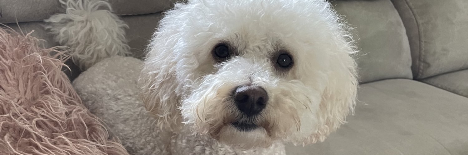 esmeebatesx's profile banner image