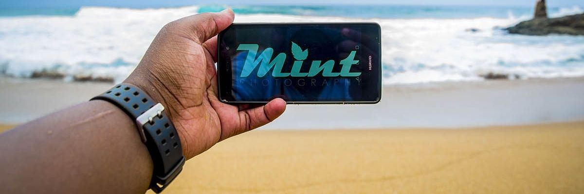 mintmsu's profile banner image