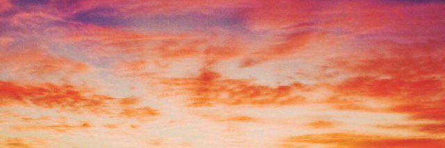 TorriLee1's profile banner image