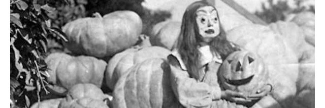 berrysieve's profile banner image