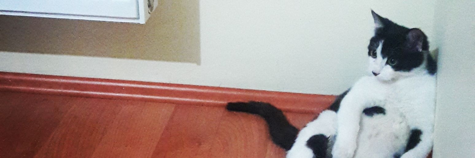 nagebkn's profile banner image