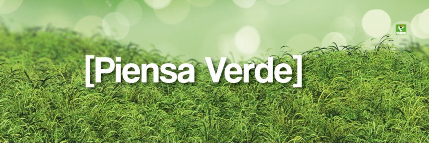 PartidoVerdeE's profile banner image