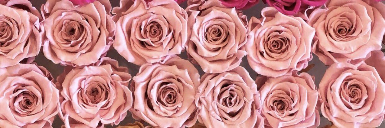 StephR_21's profile banner image