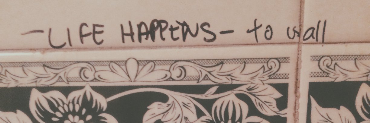 mollyd17's profile banner image