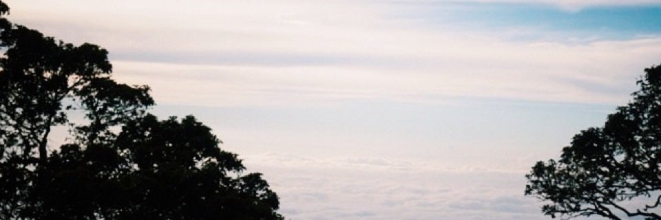 tipsytay12's profile banner image