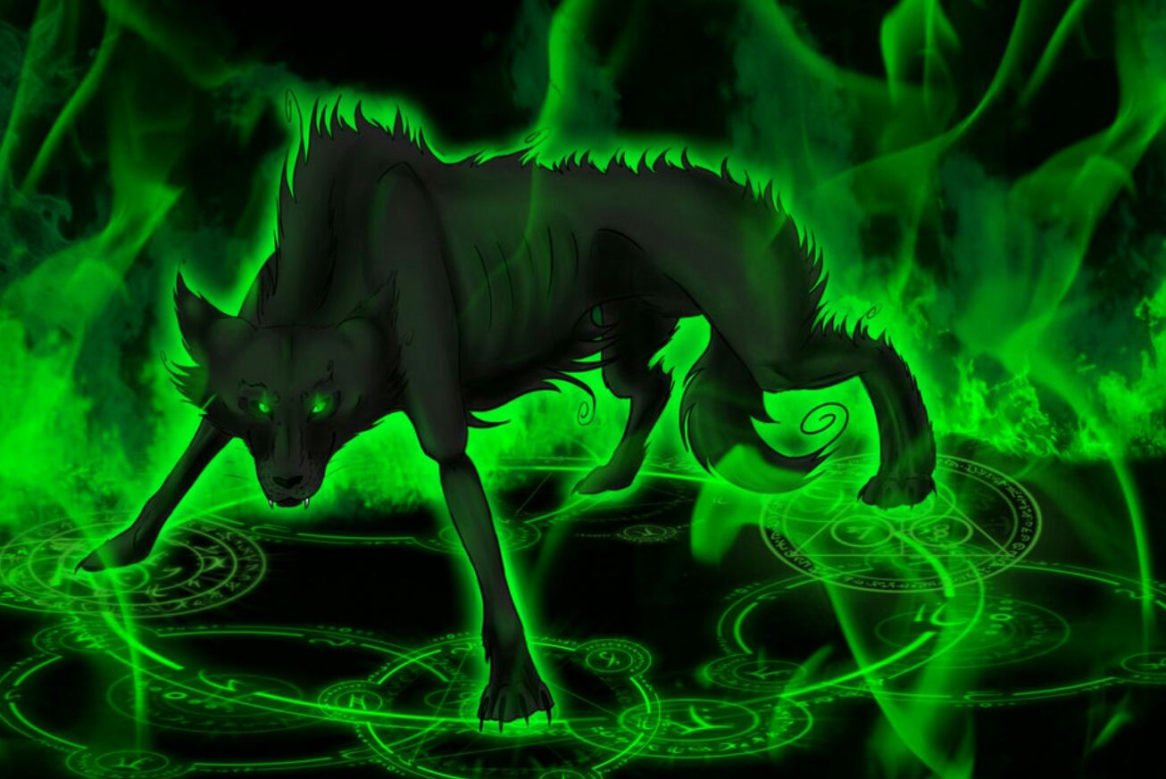 Connor_Sprague1's profile banner image