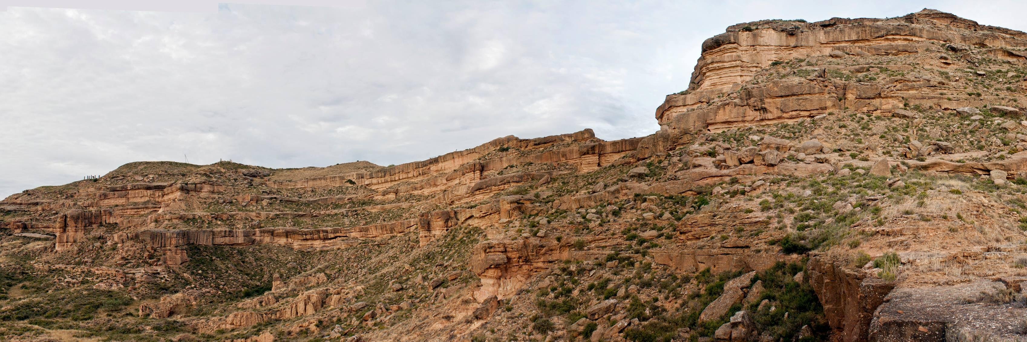 Brian Burnham banner