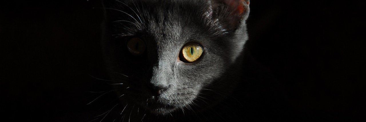 getready4wt's profile banner image