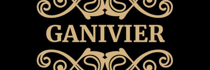 Ganivier's profile banner image