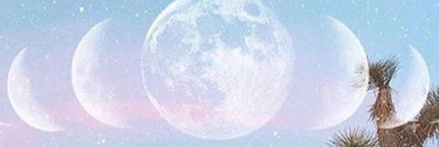 erinroughan's profile banner image