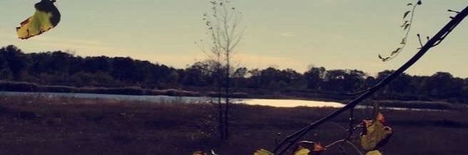 smarschmellow69's profile banner image
