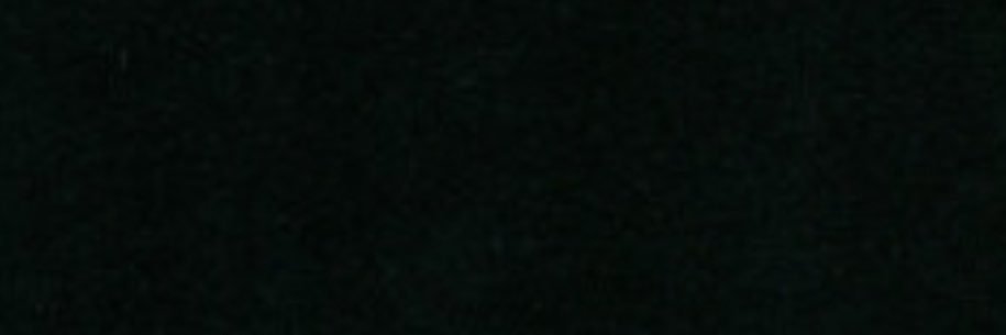 🕊️ banner