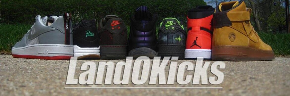 LandOKicks's profile banner image