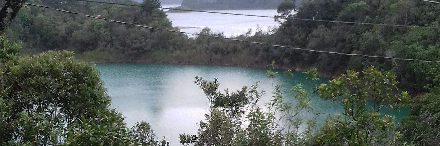 JrAlcala89's profile banner image