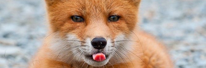 jhenibcs's profile banner image