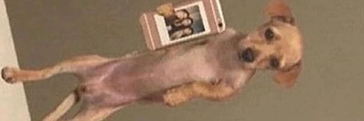 Kaitlynr07's profile banner image