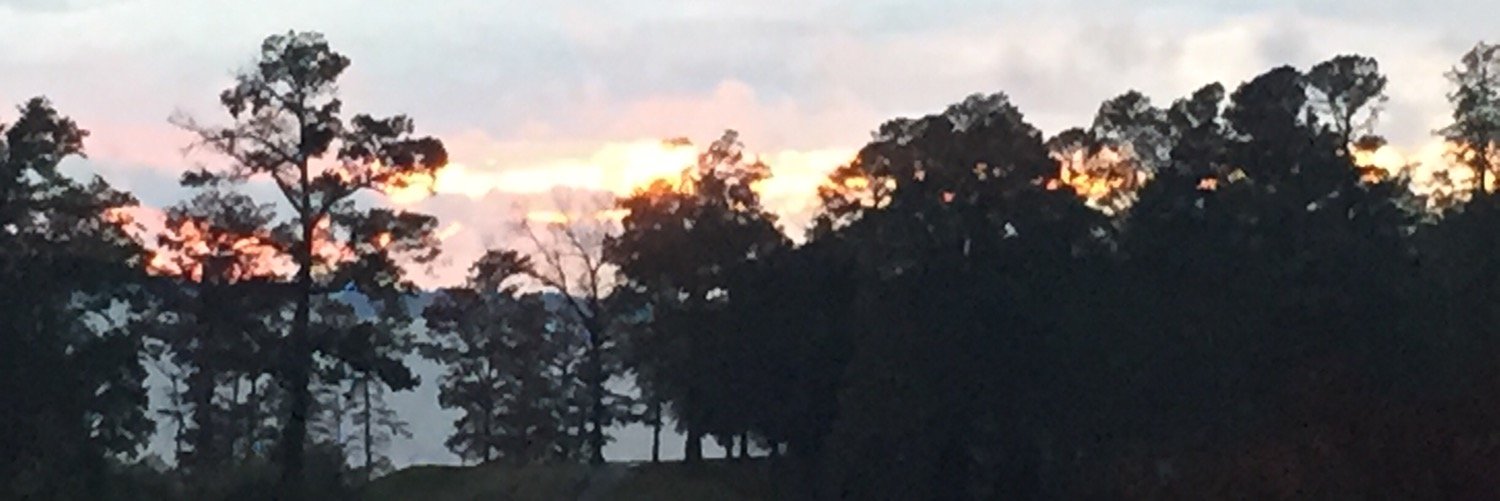 mommamook13's profile banner image