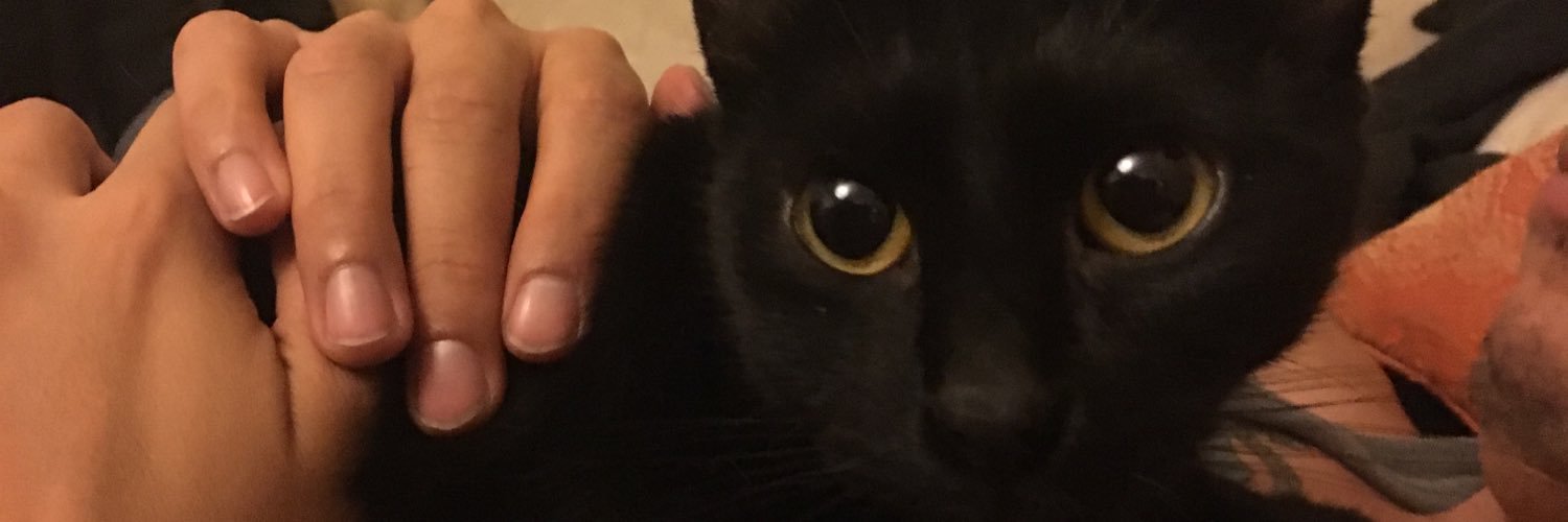 Memps's profile banner image