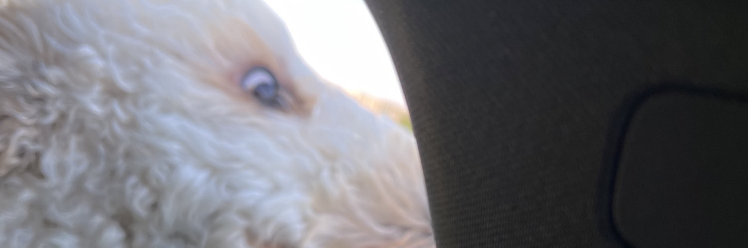 bottabinger's profile banner image
