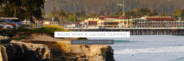 City of Santa Cruz Economic Development banner