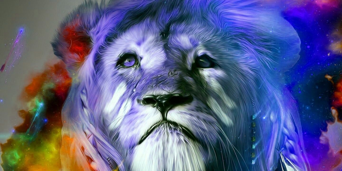jmosocold's profile banner image