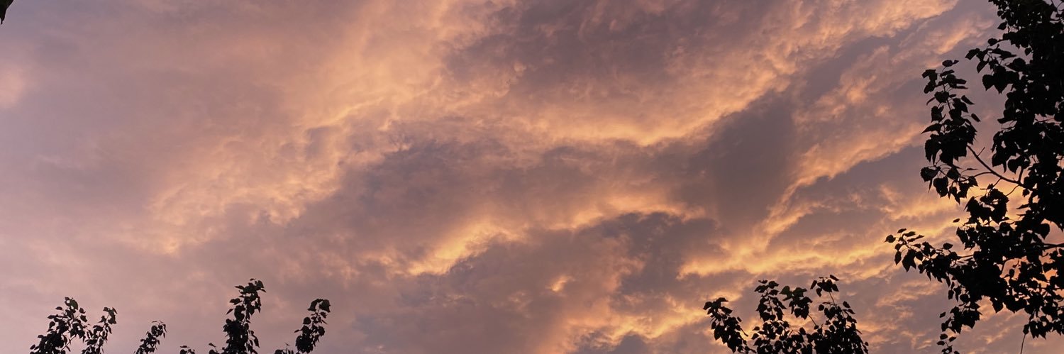 Zoe0728922's profile banner image