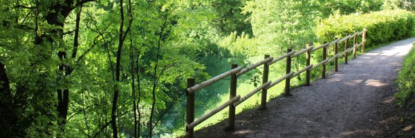 DrBhattaraiS Profile Banner