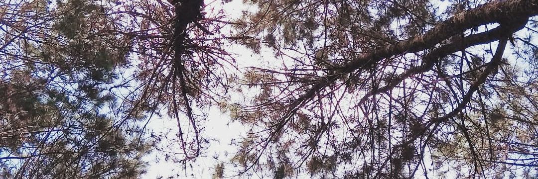 AdnanLeo_'s profile banner image