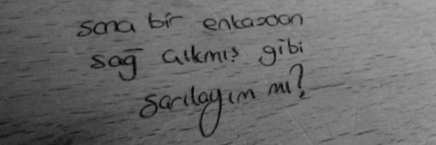 Eda Erdem banner