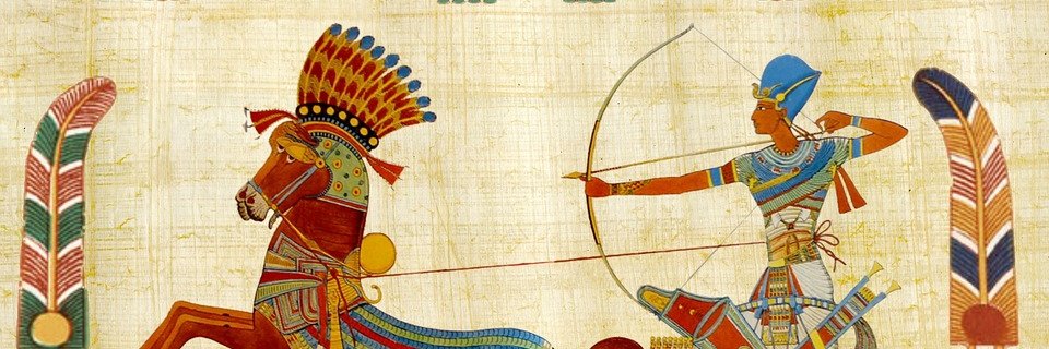 Taizi Najib Al Mualla banner