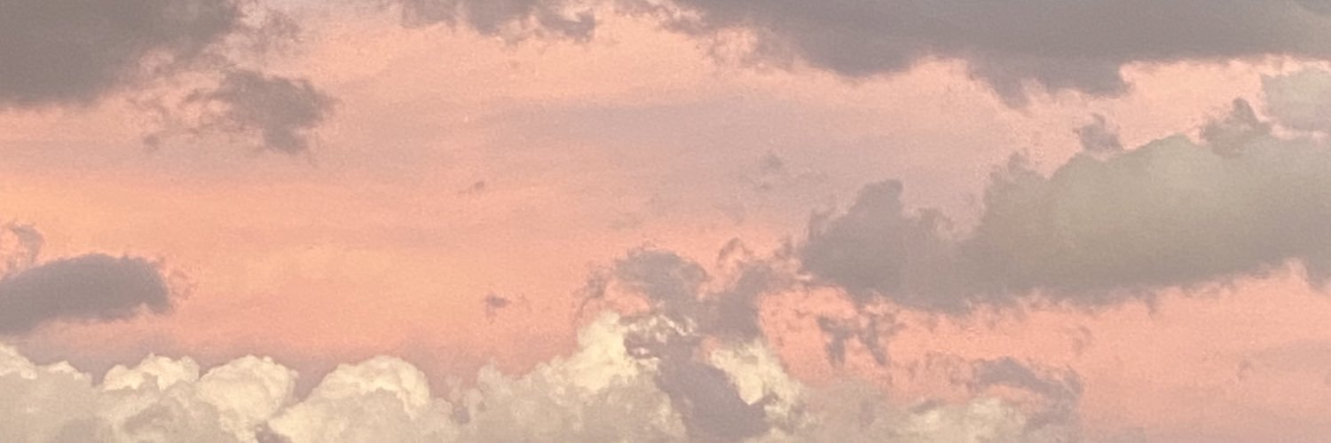 blueroseinc_'s profile banner image
