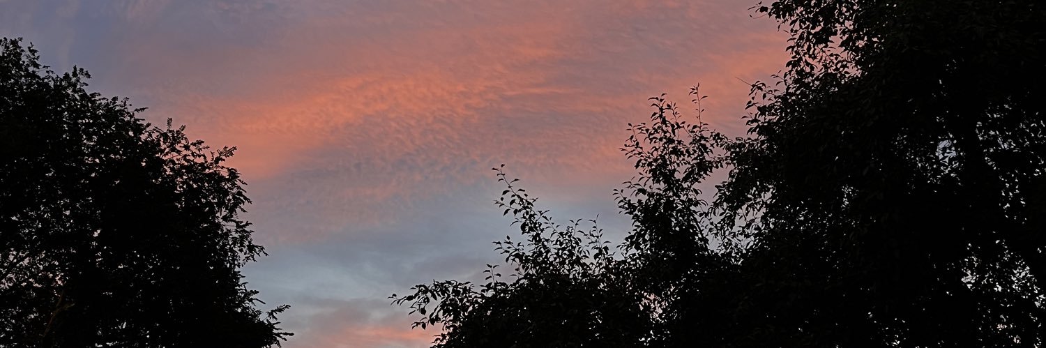 Dani👁👄👁 banner
