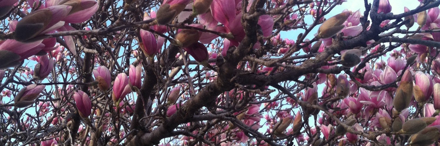 NikkiWitte's profile banner image