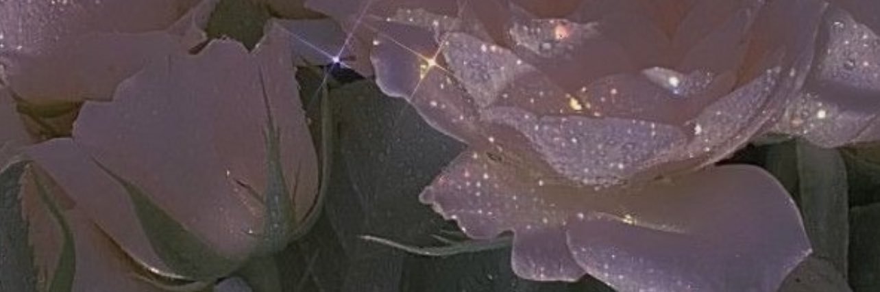 cellynnaxo's profile banner image