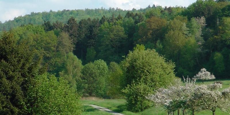 Andrew Bossom banner