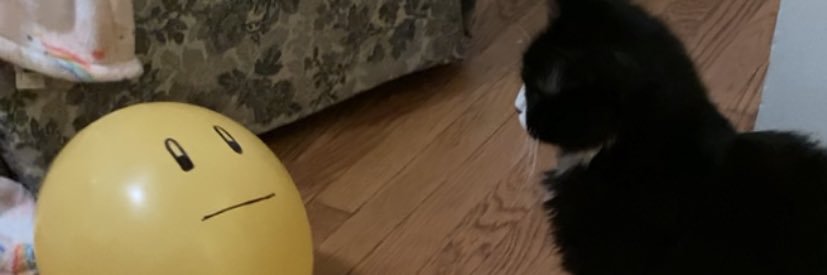 itzybitzy_fitzy's profile banner image